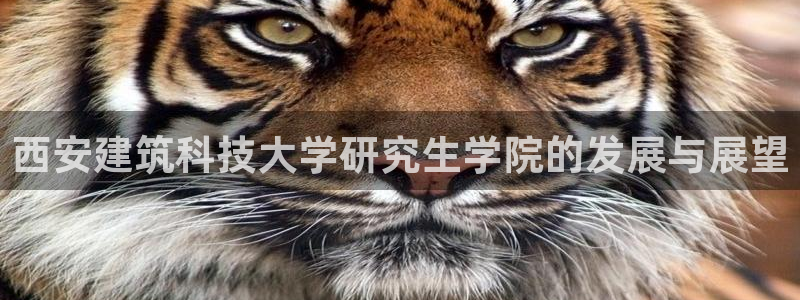 谈球吧平台正规吗可靠吗安全吗