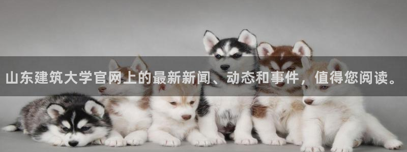 谈球吧属于哪个旗下的品牌