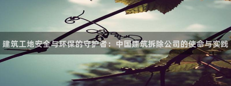 谈球吧官方网站