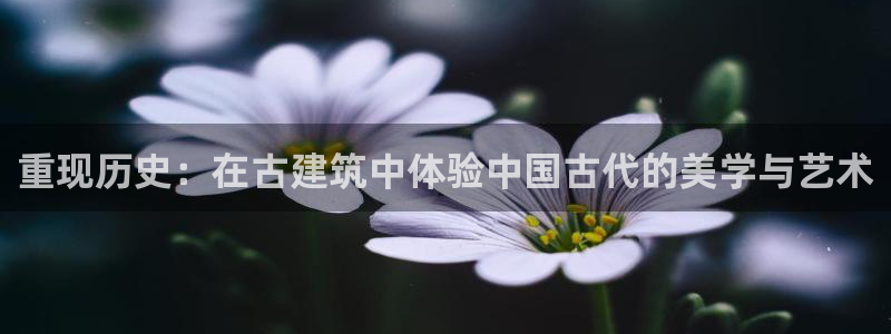 谈球吧平台正规吗