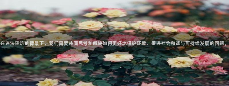 谈球吧app在哪里下载