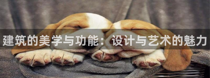 谈球吧体育app登陆不上