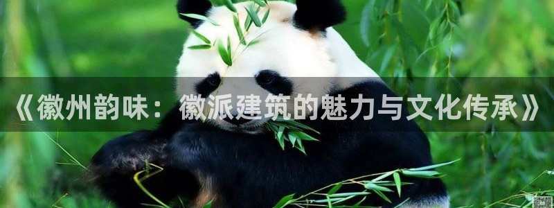 谈球吧红包激活码