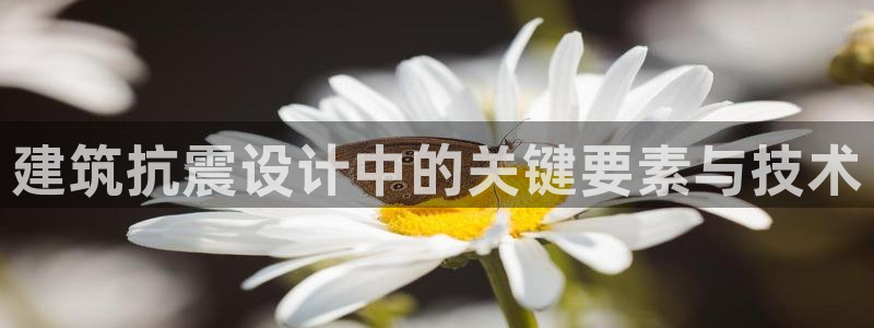 谈球吧娱乐app下载官网苹果手机