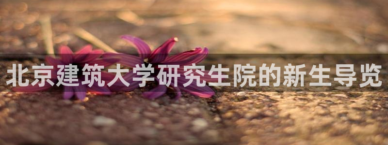 谈球吧平台正规吗可信吗安全吗