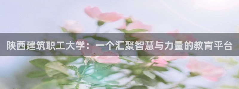 谈球吧体育app下载官网安卓