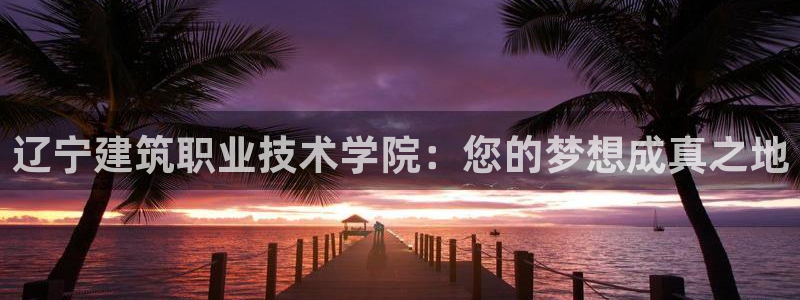 谈球吧的聊天软件是什么
