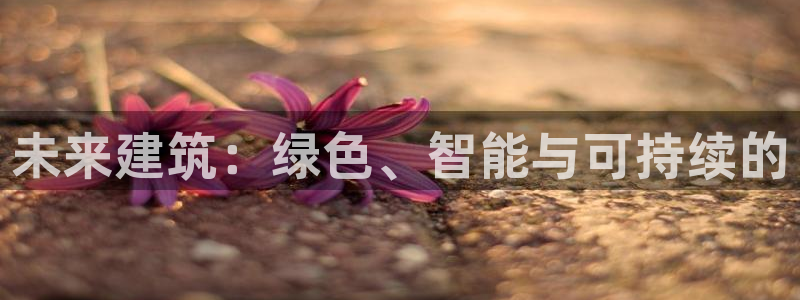 谈球吧官网在线入口免费观看高清版