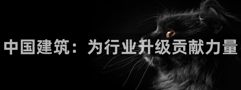 谈球吧体育app登陆入口