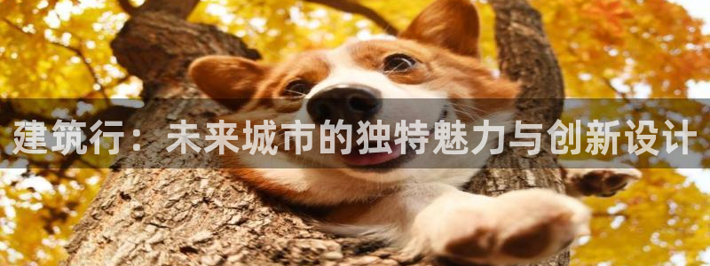 谈球吧官网提款不了：建筑行：未来城市的独特魅力与创新设计