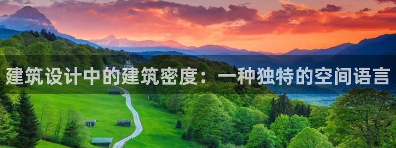 谈球吧在线观看