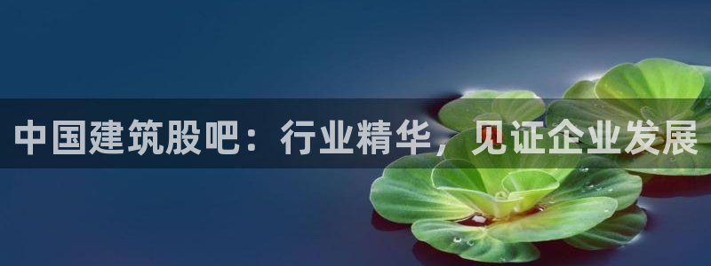 谈球吧官网入口在线观看