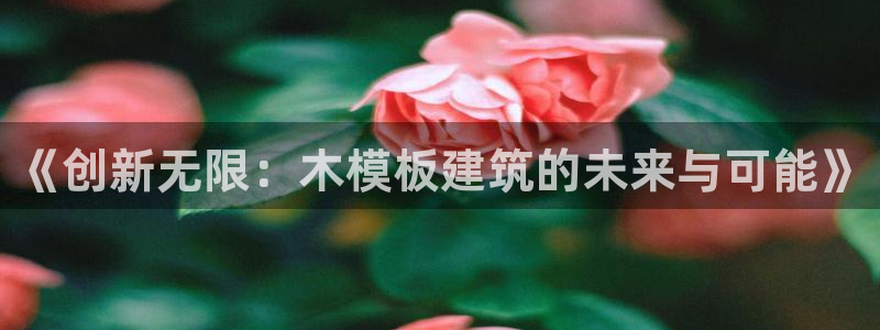 谈球吧官网提款不了