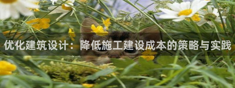 谈球吧体育官方入口