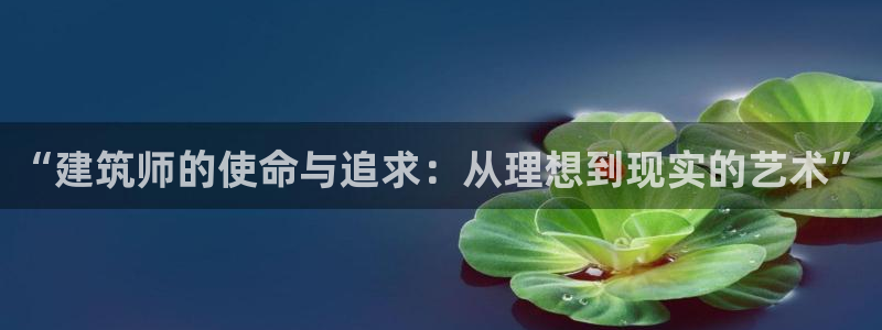 谈球吧官网在线入口手机版免费观看
