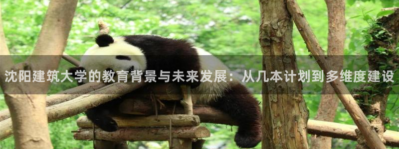 谈球吧官网在线入口网址