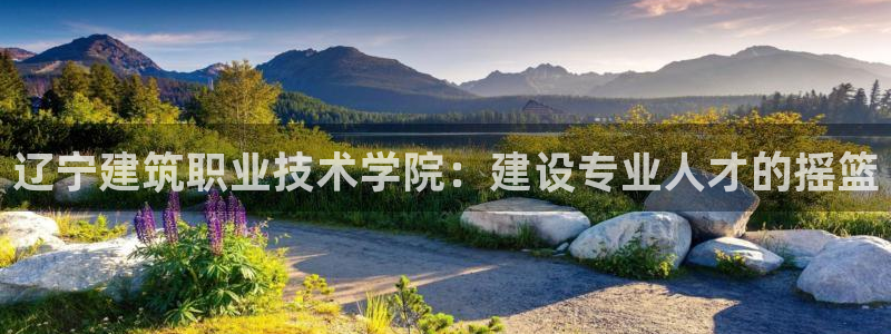 谈球吧算违法行为吗为什么