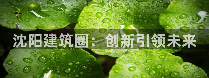 谈球吧出款怎样?