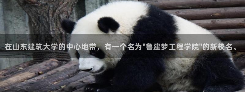 谈球吧平台正规吗可靠吗安全吗