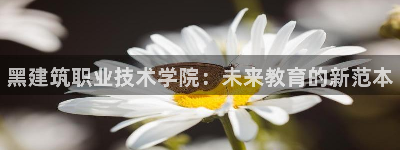 谈球吧官网在线入口手机版下载