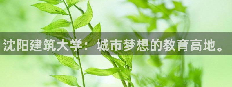 谈球吧是黑台子吗还是白台子好