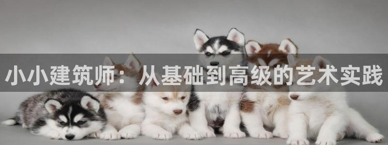 谈球吧体育app下载官网苹果手机：小小建筑师：从基础到高级的艺术实践