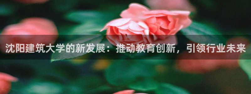 谈球吧平台正规吗：沈阳建筑大学的新发展：推动教育创新，引领行业未来