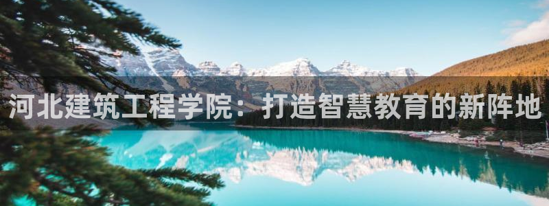 谈球吧app赛事分析报告怎么做