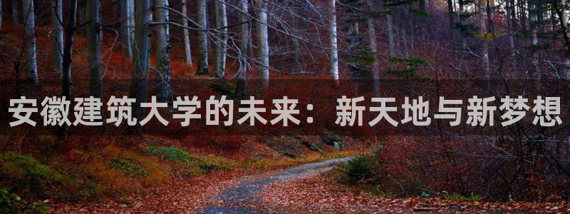 谈球吧app赛事分析在哪里看到