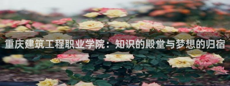 谈球吧官网在线入口免费观看高清视频