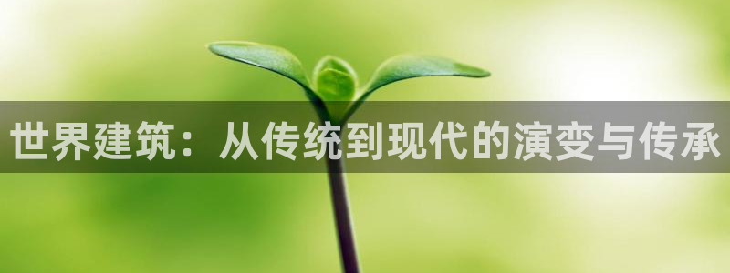 谈球吧言网入口