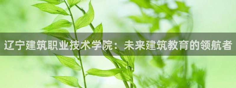 谈球吧官网在线入口网址