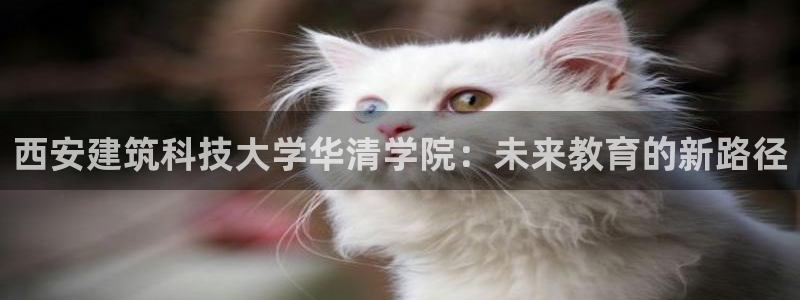 谈球吧娱乐app下载官网苹果