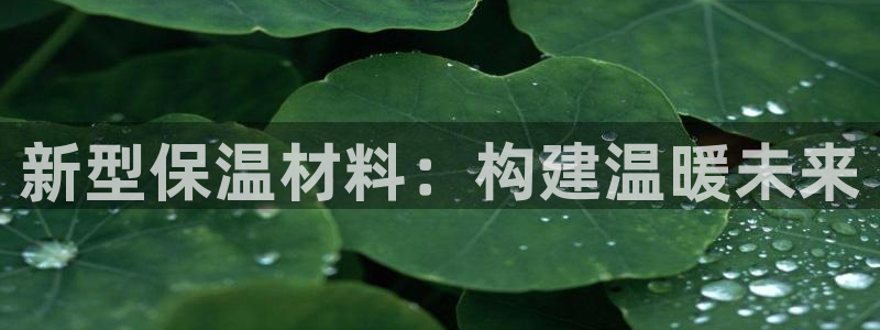 谈球吧官网登录