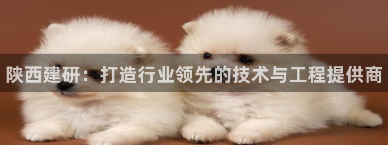 谈球吧体育app下载足球直播