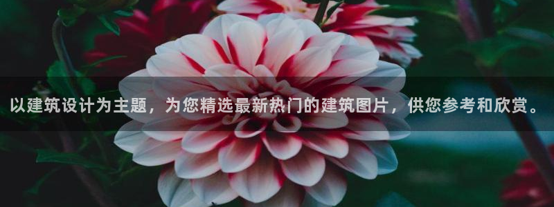 谈球吧买球靠谱吗