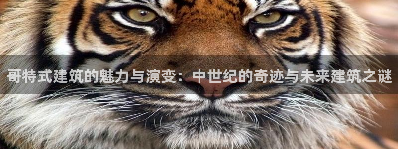 谈球吧平台正规吗可靠吗知乎