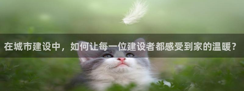 谈球吧app赛事分析报告怎么做