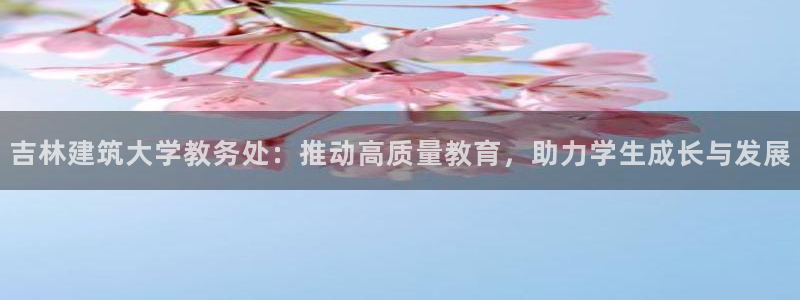 谈球吧官网在线入口免费观看高清视频