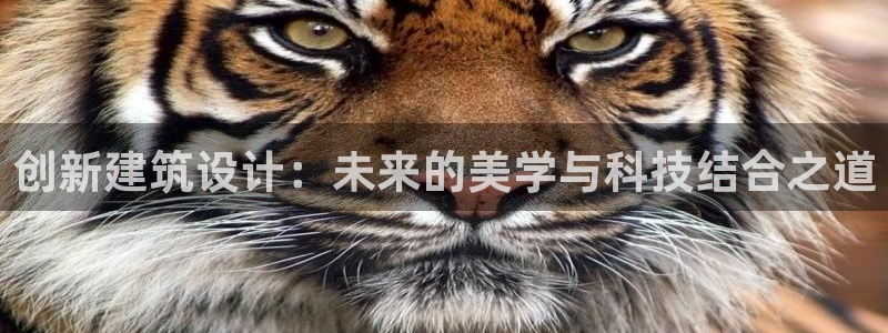 谈球吧nba