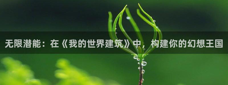 谈球吧与普通平台对比