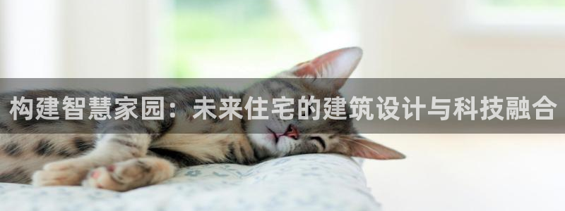 谈球吧登录网