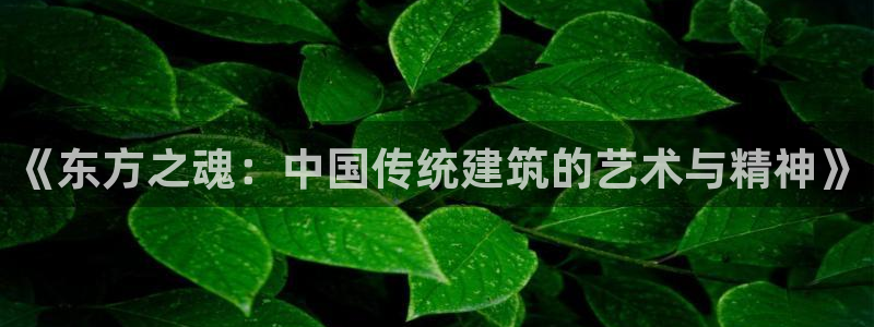 谈球吧的聊天软件下载