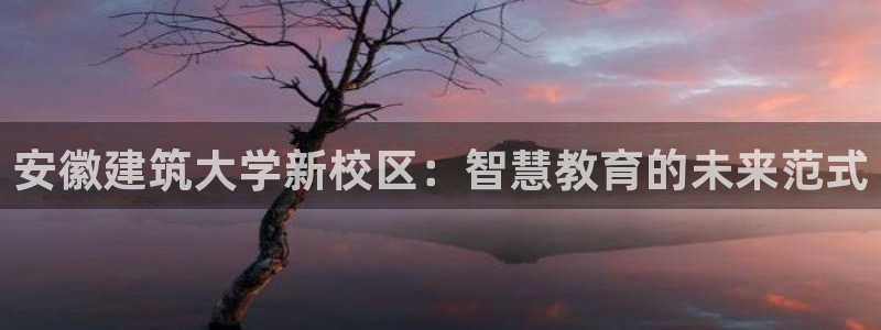 谈球吧官网在线入口网址