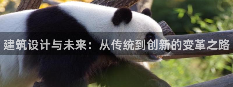 谈球吧-体育赛事