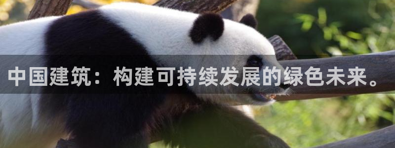 谈球吧网页版在线入口