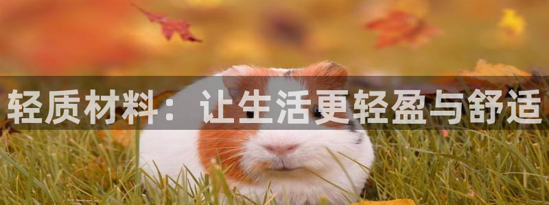 谈球吧是正规平台吗知乎