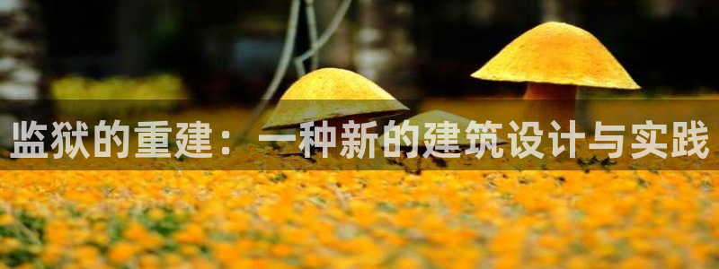 谈球吧(中国)官方网站